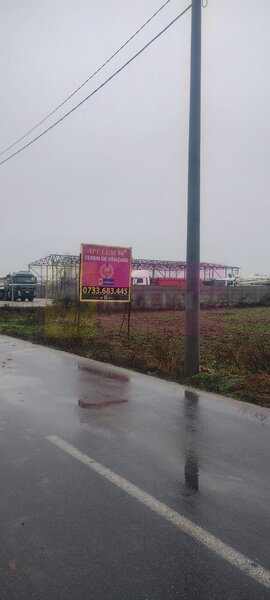 Dragomiresti-Vale, langa Soseaua de Centura, pretabil hale, productie